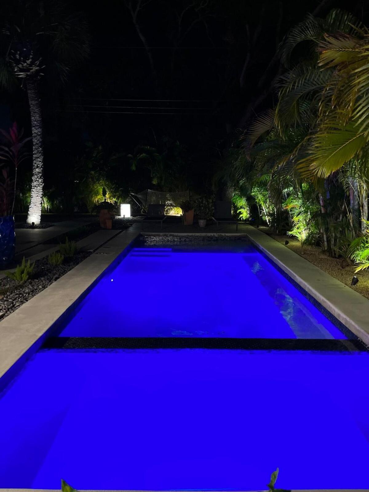 Hiddengem In Charming Sarasota, Florida Villa Exterior foto
